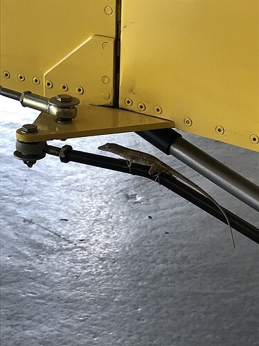 Tail Inspector 4 Sm.jpg