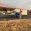 goldthwaite-flyer